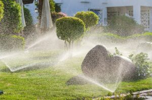 irrigation system services