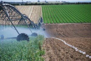 irrigation system services